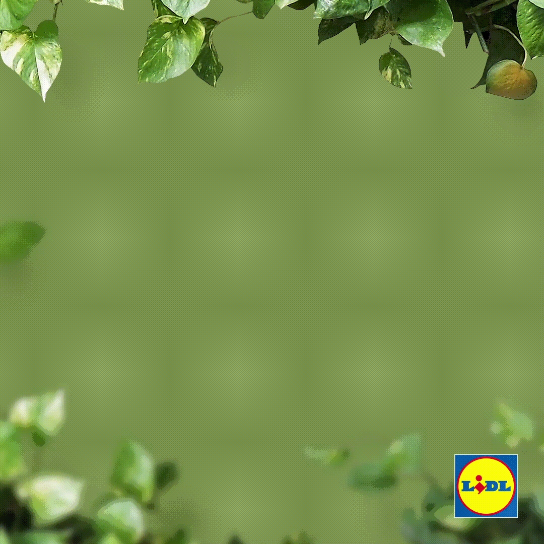 Lidl06